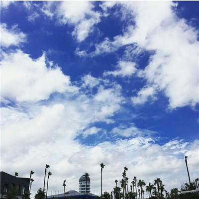 2023年新澳门今晚开特马手机app下载